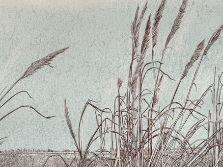 Begumpura: Shoots and leaves