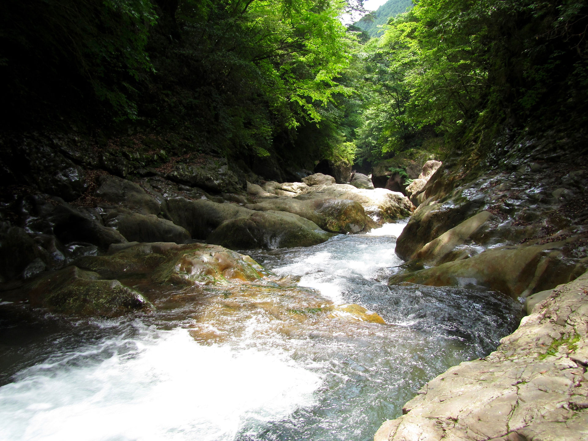 Sarusawa Blog _ Canyoning _ Looking Downstream