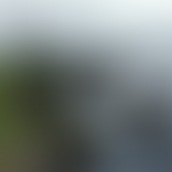 Elevate Your Goals: How to Level Up This New Year