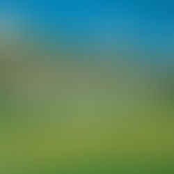 Prayer for Pardon 🙏