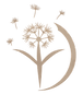 ChatGPT Image 30_edited_edited.png