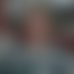 The Global Food Crisis