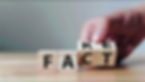 FactFake.jpeg