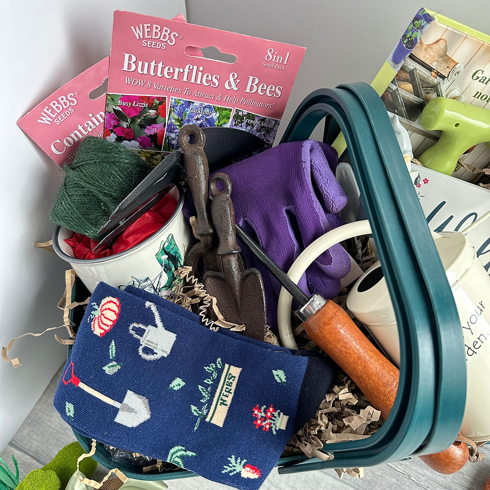 Thumbnail: Garden Gift Hamper Trug