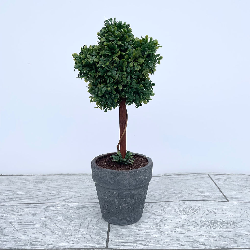 Thumbnail: Potted Shaped Topiary in Three  Designs