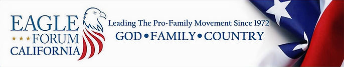 weebly-banner_edited.jpg
