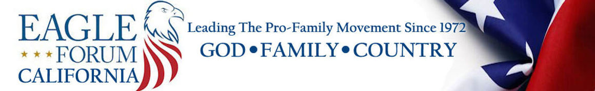 weebly-banner.jpg