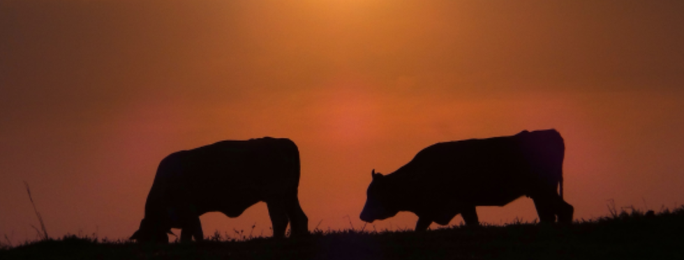 Laranja Frase de Outono Capa para Facebook (6).png