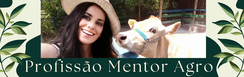 BANNER LINKS (11).png