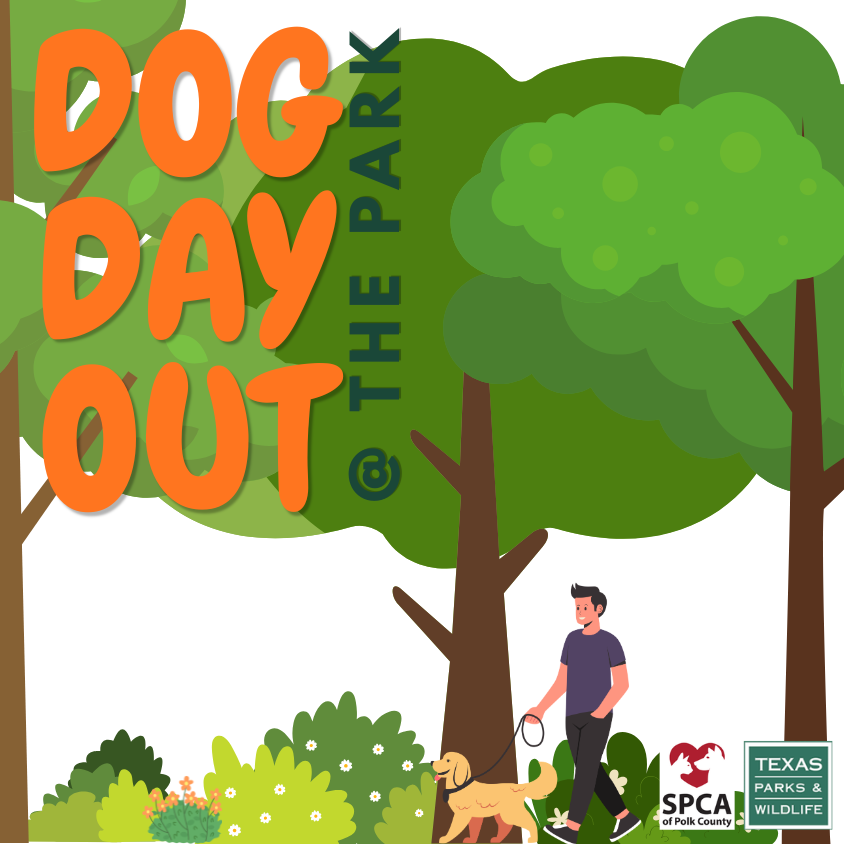 Dog Day Out @ The Park