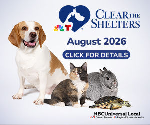 Clear the Shelters 2026