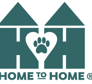 H2H-verde azulado-R (1).png