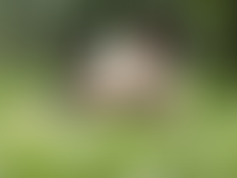 Welcome to Michigan Allergy season