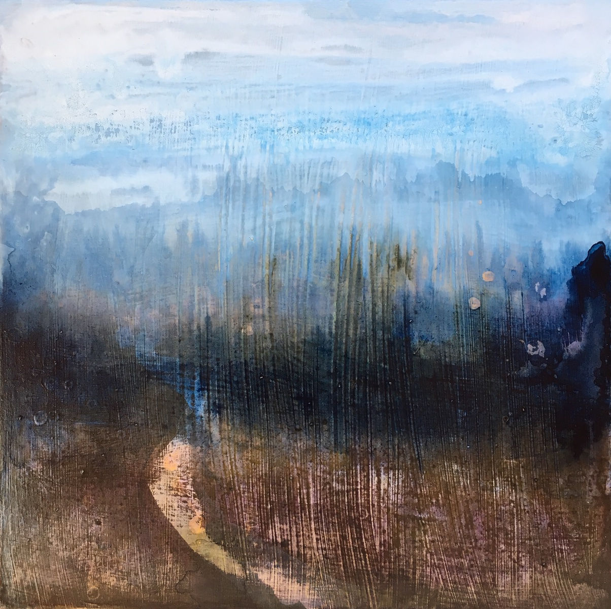 Morning light, walks Ashdown Forest, misty mornings, Greenfinche, Ticehurst, early sunlight, morning mist