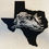 Thumbnail: Texas Catfish with flag