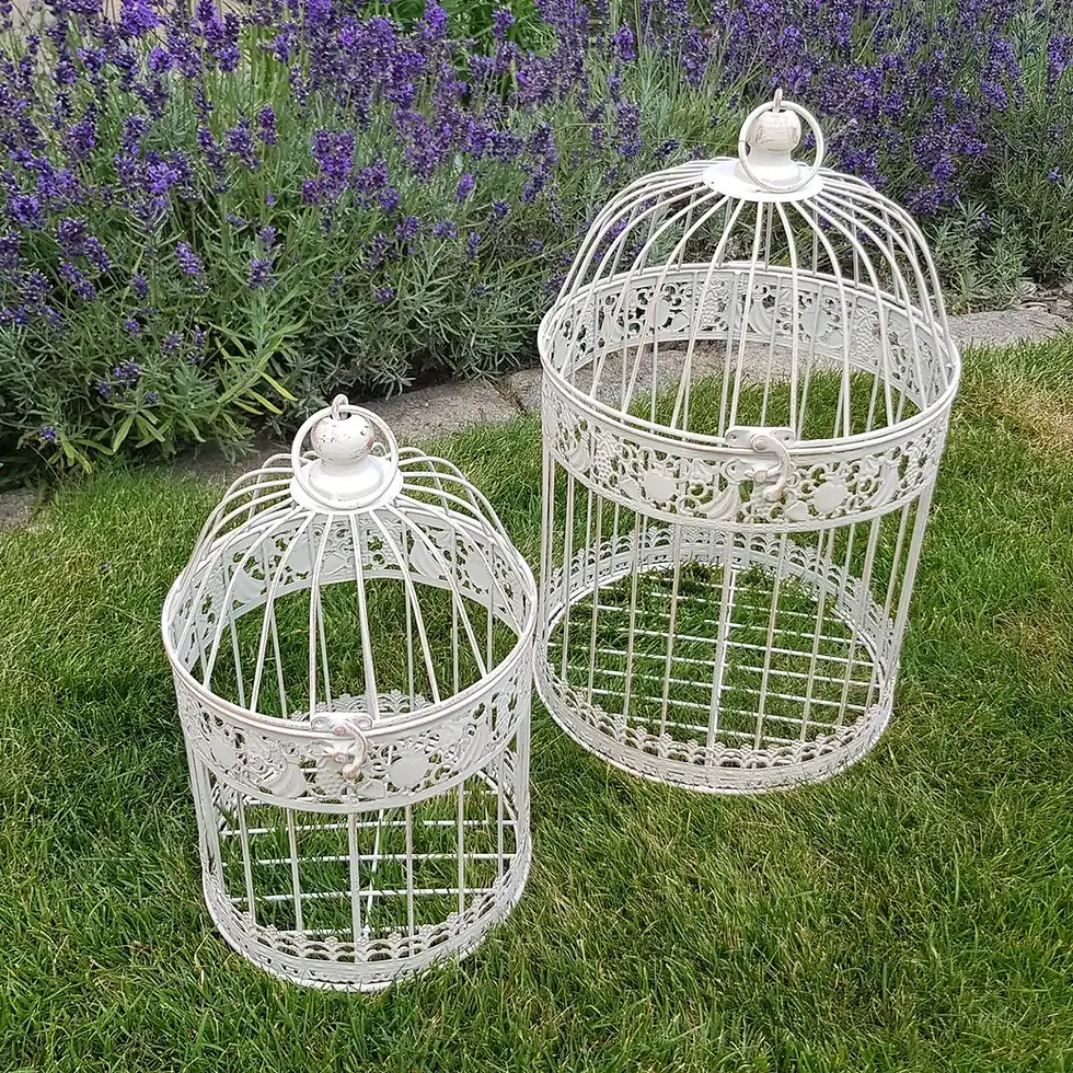 Thumbnail: Bird Cage Set of 2