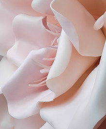 3D Pink Flower 