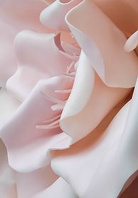 3D Pink Flower 