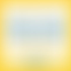 Sun Dream Yacht Charters Wins the WeddingWire Couples' Choice Award for the Fifth Year in a Row