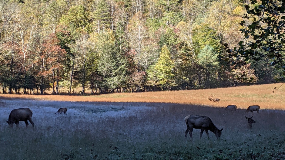 Cataloochee Valley-North Carolina