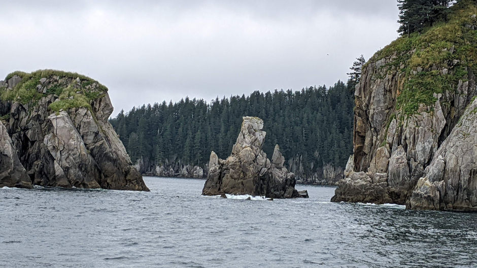 Stewart Wildlife Cruise Cont. Part 3