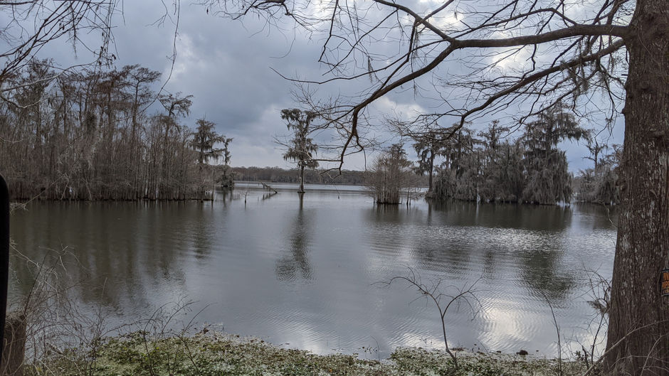Welcome to Louisiana Harvest Host At Champagne's Cajun Swamp Tour!