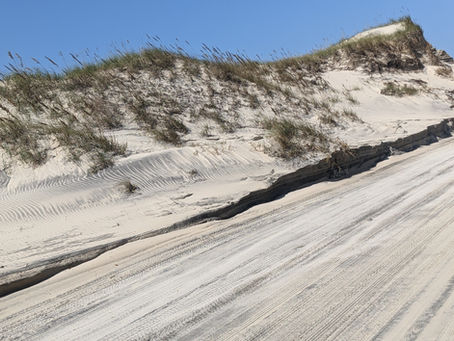 Carova Beach- Outer Banks-NC