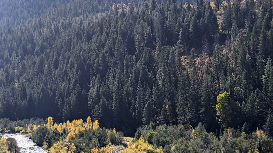 Colorado Boy Brewery-Mountains-CO