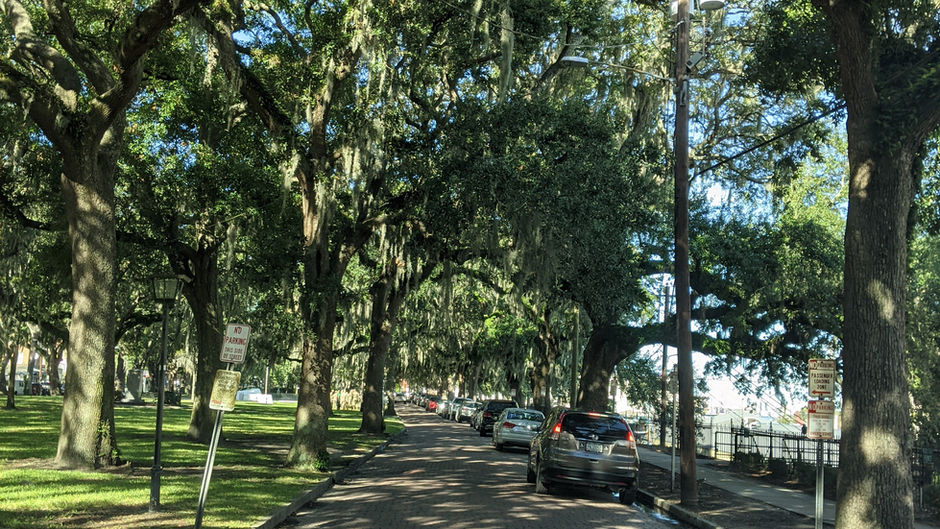 Savannah Trolley Tour-Cont