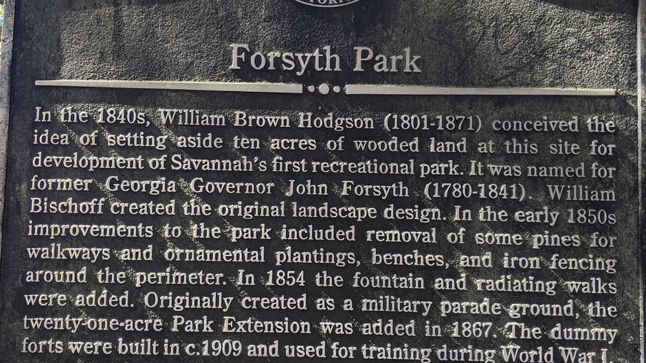 Savannah Cont.