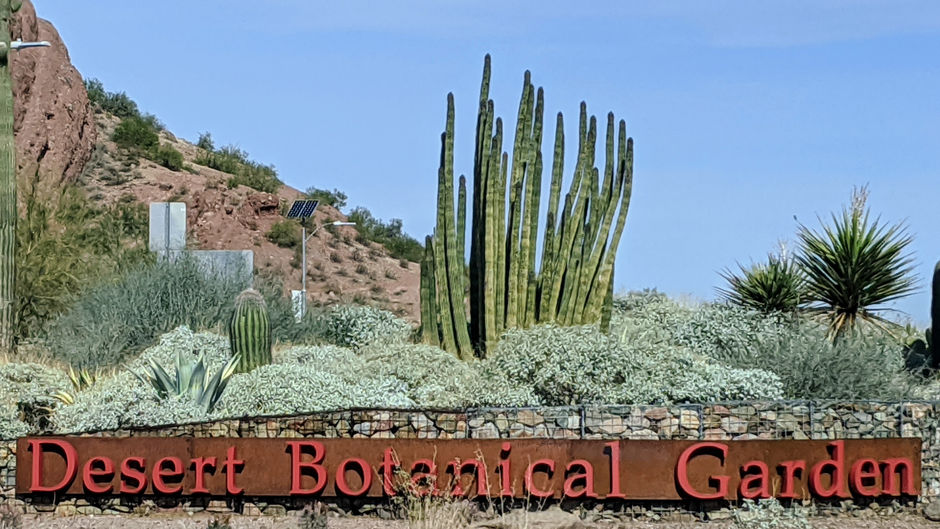 Desert Botanical Gardens