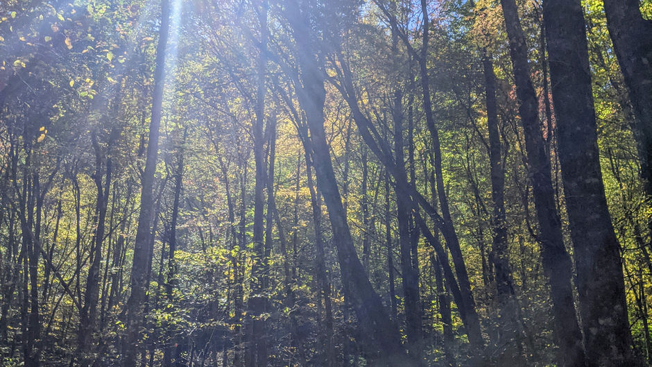 Church-NC