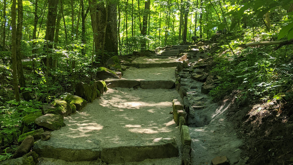 Trails around Mammoth Caverns-KY