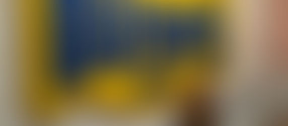 Bush's Baked Beans-NC