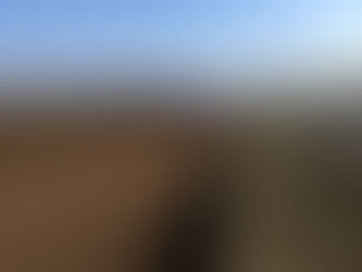Client: Synergy | Location: Calderwood | Duration: 2 months