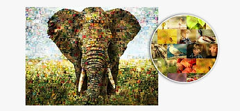 What-is-a-photo-mosaiccd-min.jpg