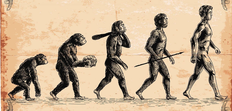 O martelo ainda tá por aí. A IA tbm ficará.