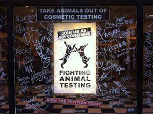 Como Criar Estratégias de Conteúdo Autêntico que Engajam