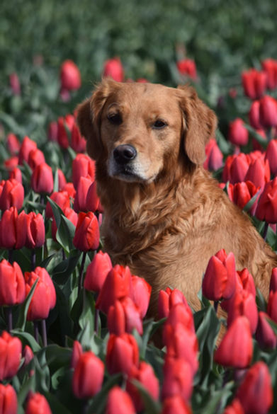 Choice feiert ihren 4. Geburtstag!