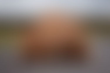 Akualisierung der Website