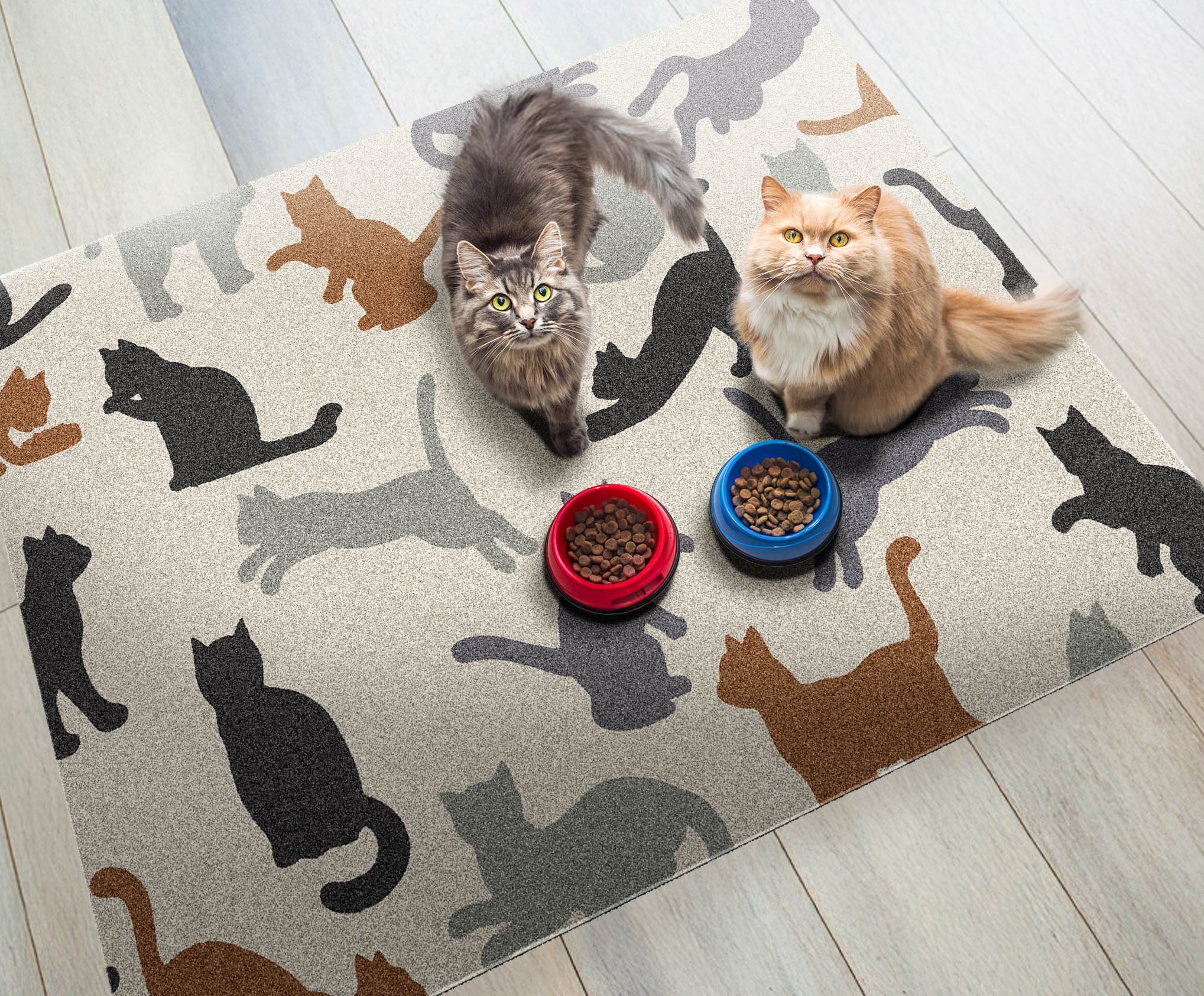 Pet lying on a printed rug