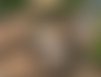 Iluminação do Parque Marinha sofre vandalismo