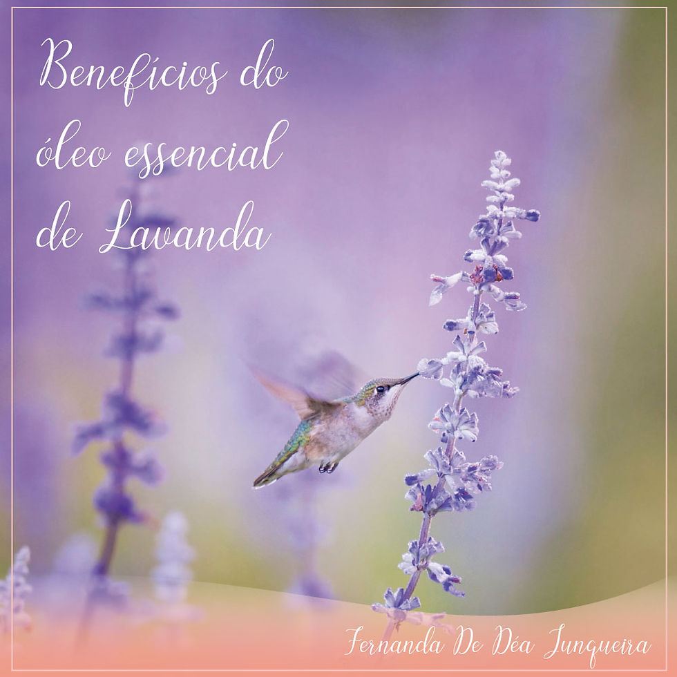TERAPIA