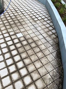 タイル特殊洗浄前