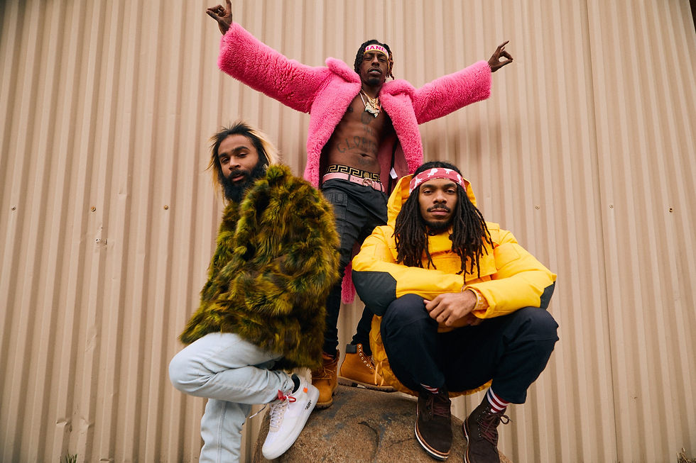 Flatbush Zombies