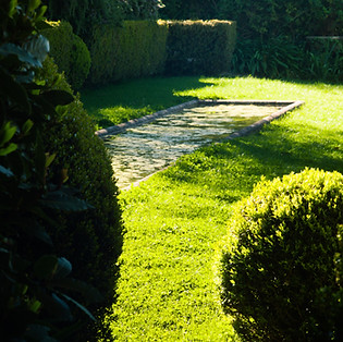Jardins des Songes - Entretien de jardins