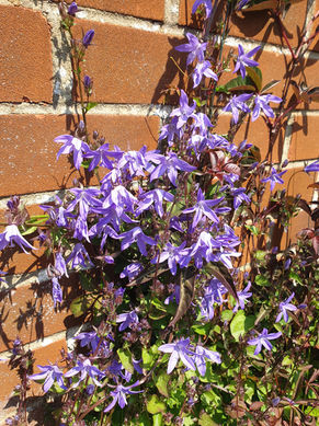 20230610_135115 - Copy.jpg