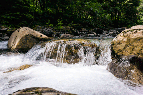 beautiful-water-flowing-brook-over-stone-animated-gif.webp