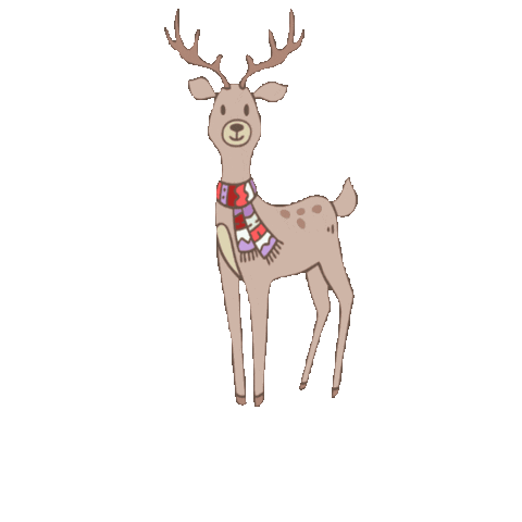 1639518432_281102_gif-url.gif