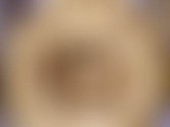 Risotto ai funghi porcini: tutte le regole per una riuscita perfetta